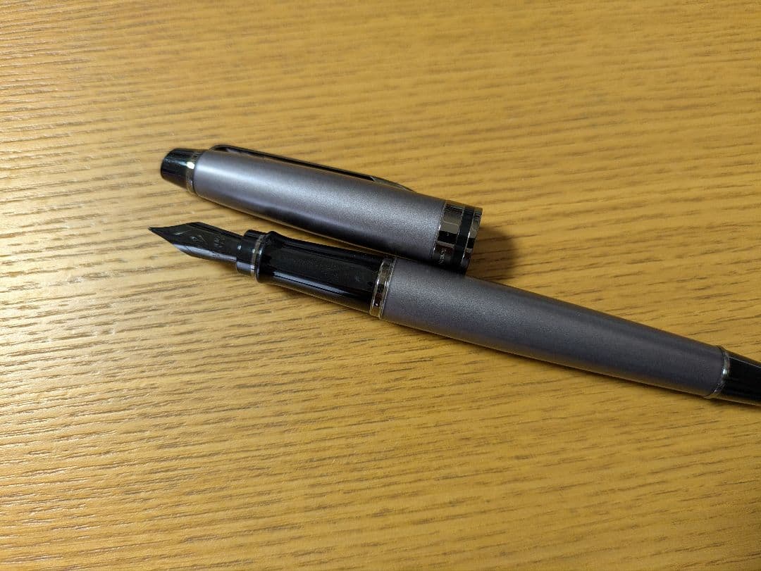 WATERMAN ウォーターマン エキスパート 万年筆 F細字
