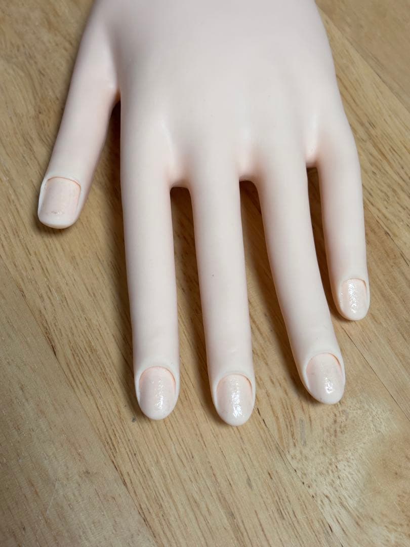 JNEC認定モデルハンド　両手