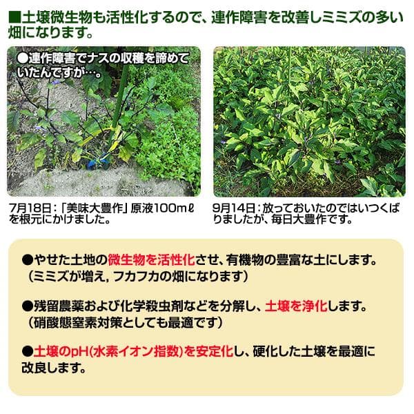 植物活力液 美味大豊作GT-S ２０リットル 作物が早く大きく育ち収穫量も増加！