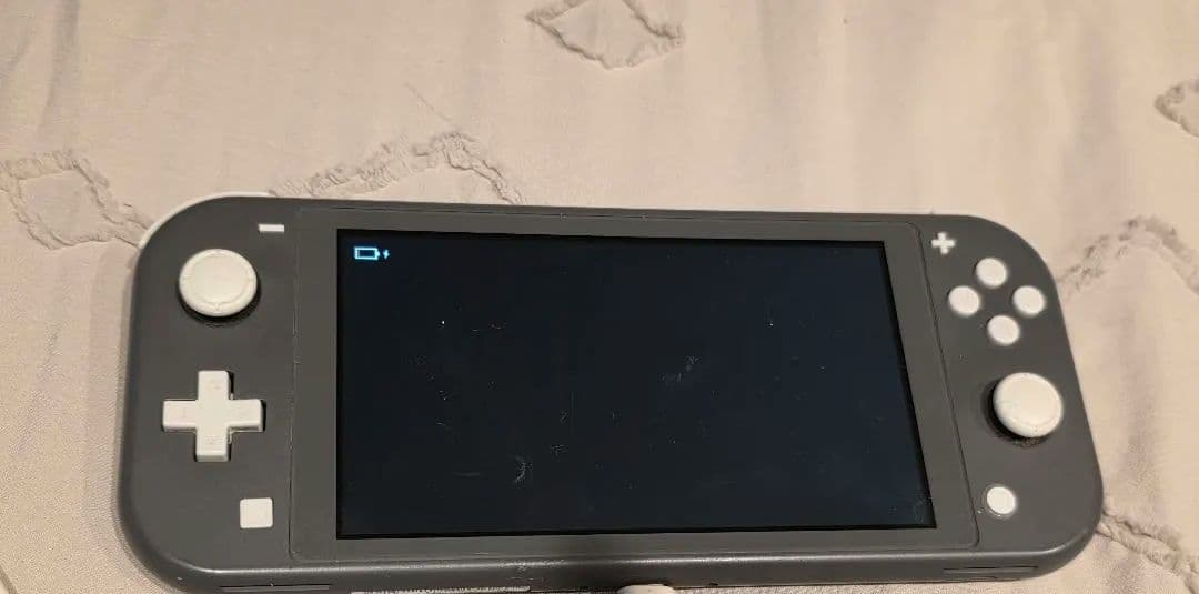 Switchライト グレー