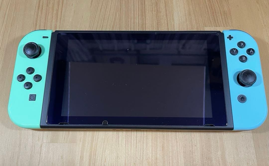 Nintendo Switch あつまれ どうぶつの森セット 本体保護ケース付