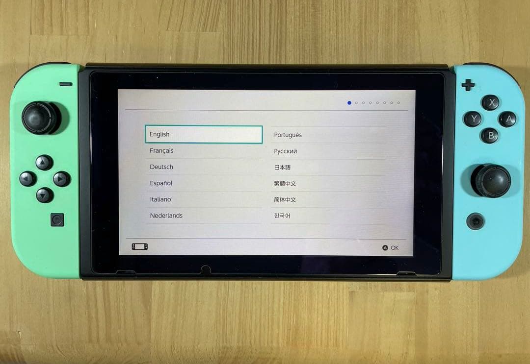 Nintendo Switch あつまれ どうぶつの森セット 本体保護ケース付