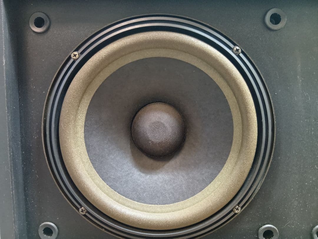 s*a様 BOSE 301MMⅡ