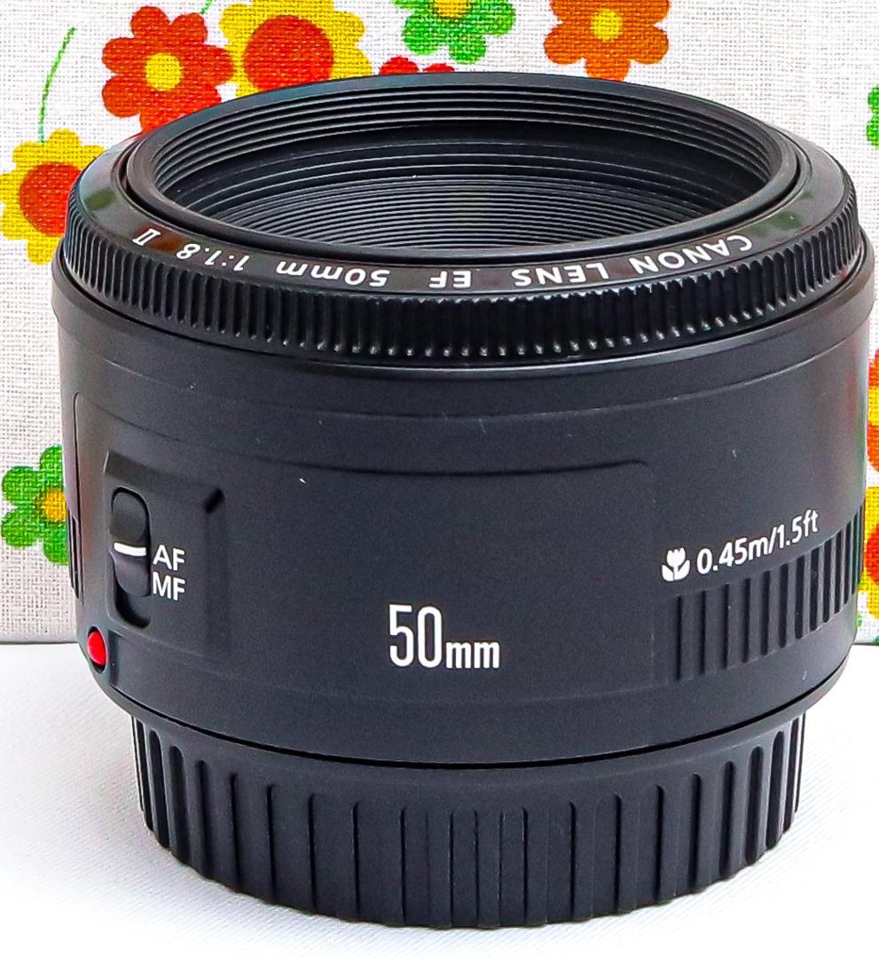 キャノン Canon EF 50mm F1.8 Ⅱ☆単焦点レンズ☆神レンズ